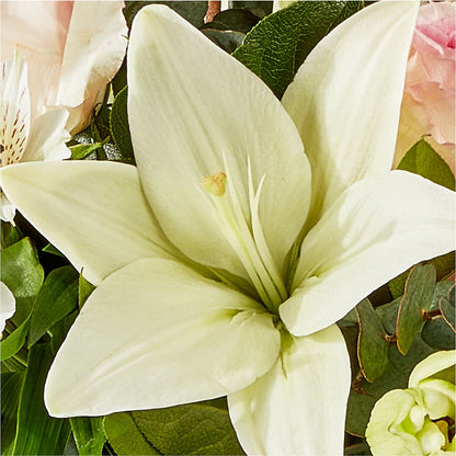 Ballet Slippers Bouquet –  Corner Flowers, Brooklyn NY