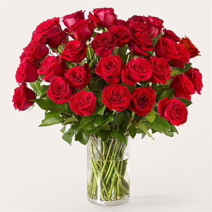 The One Red Rose Bouquet –  Corner Flowers, Brooklyn NY