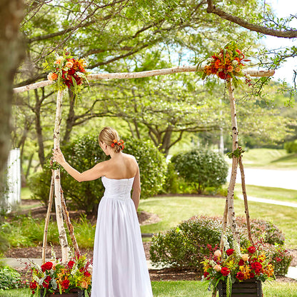 Arbor of Love Archway –  Corner Flowers, Brooklyn NY
